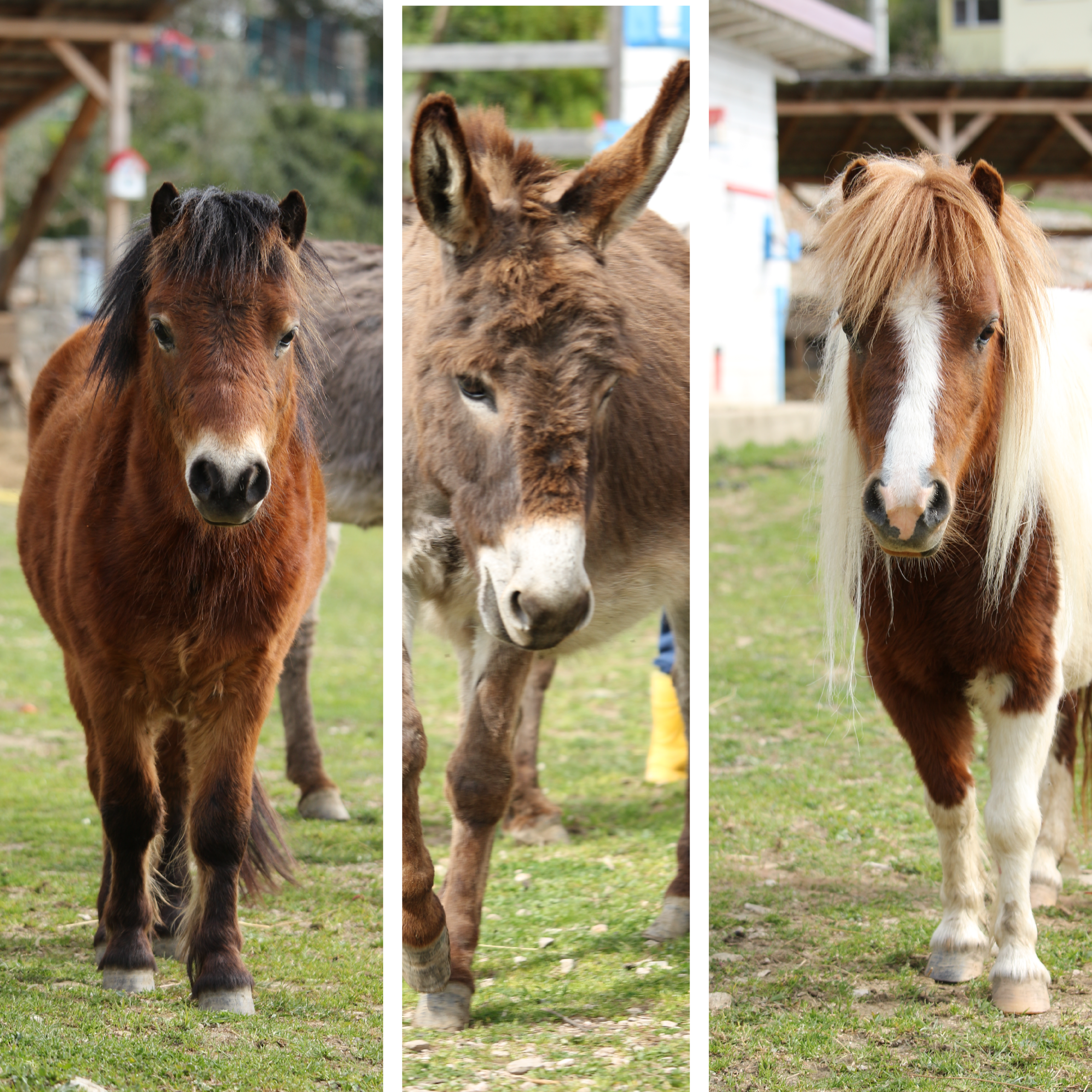 Unsere Farm Bild Website 1